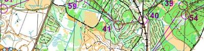 Danish Spring Night Relay