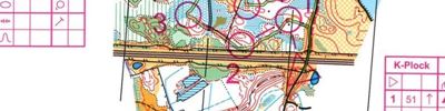 Skånemodellen: Teknik