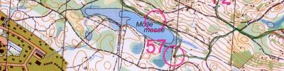 Ladonia Mountain Throphy - OL