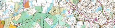 Stafett-DM Skåne 2014