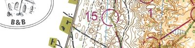 Sverigepremiären, medel