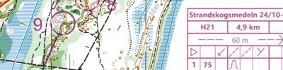 Strandskogsmedeln