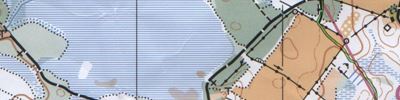 Våryran
