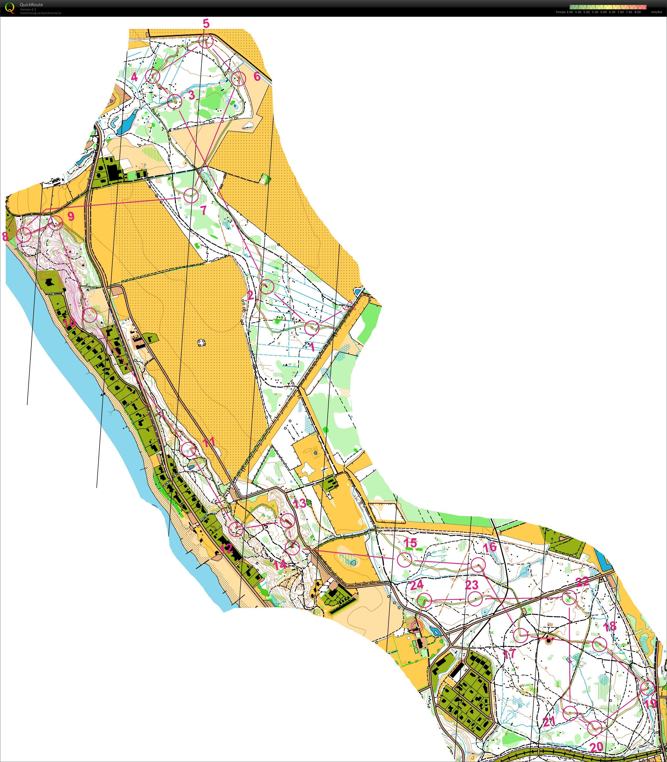 Tjogetträning (2009-06-30)