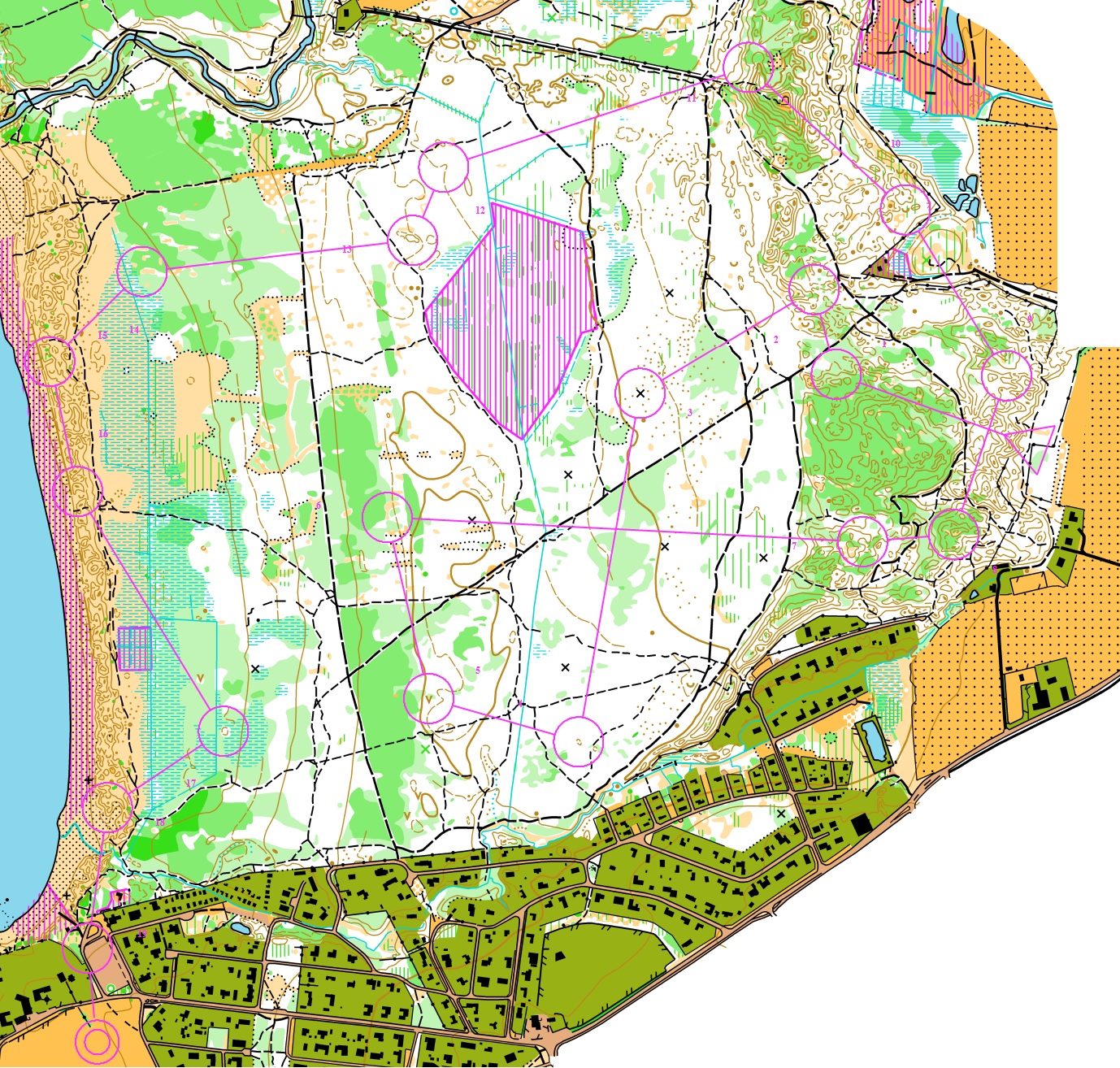 O-ringen Etapp 3 (24.07.2012)